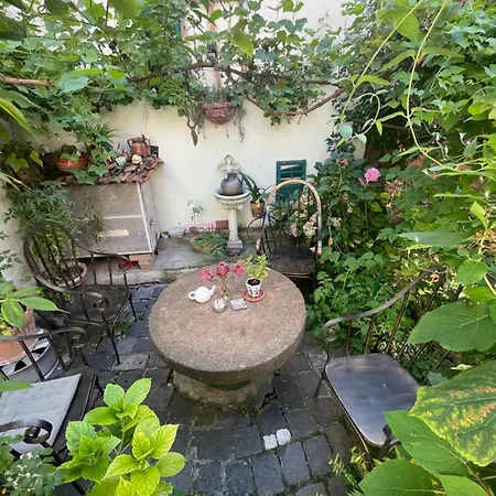 Casa Morar *