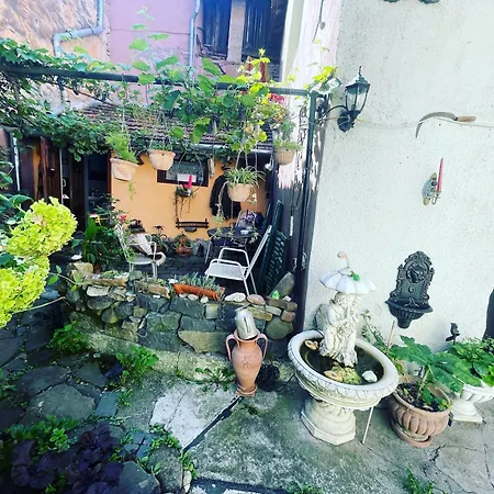 Casa Morar Homestay
